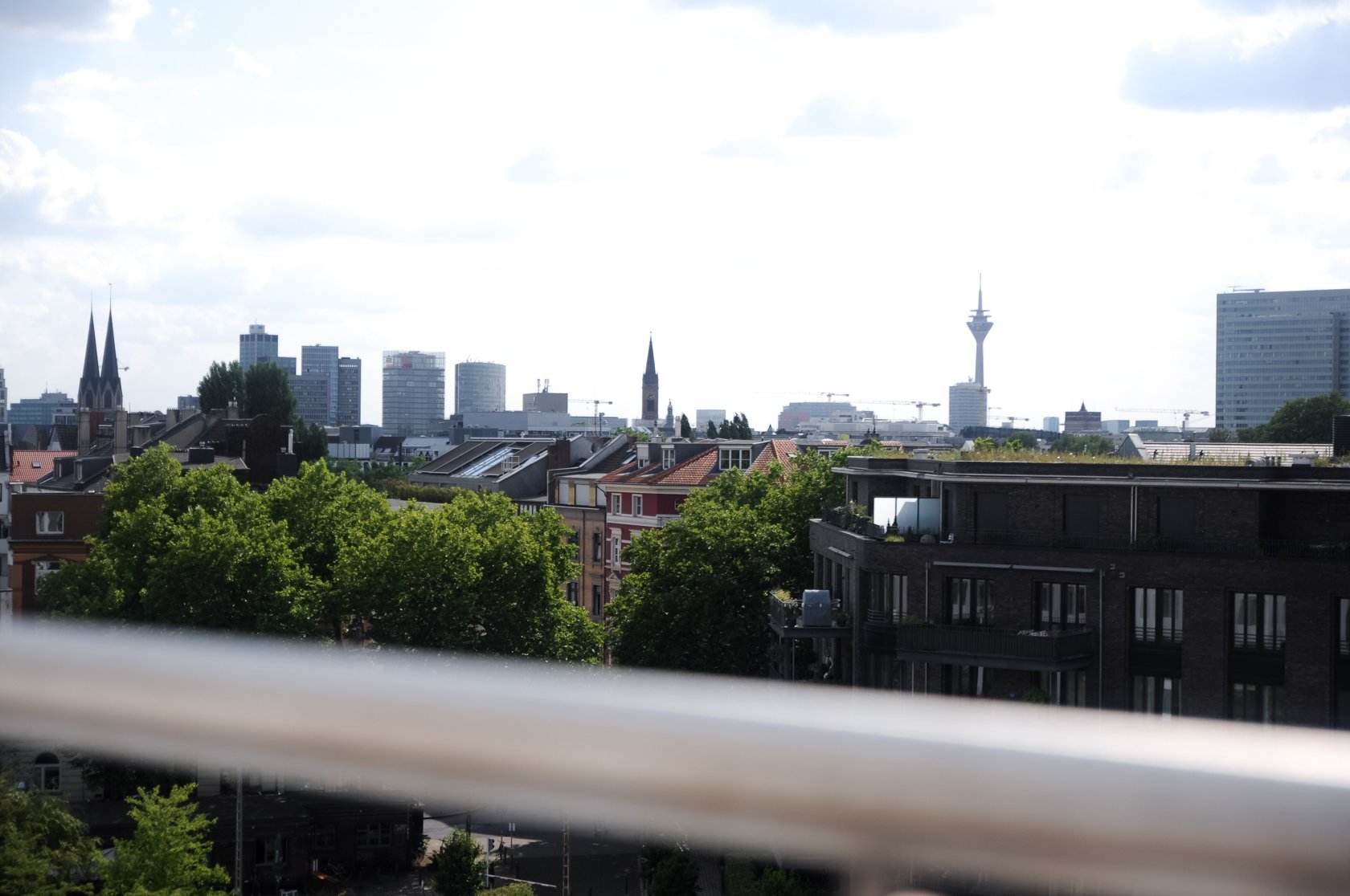 DSC_1462